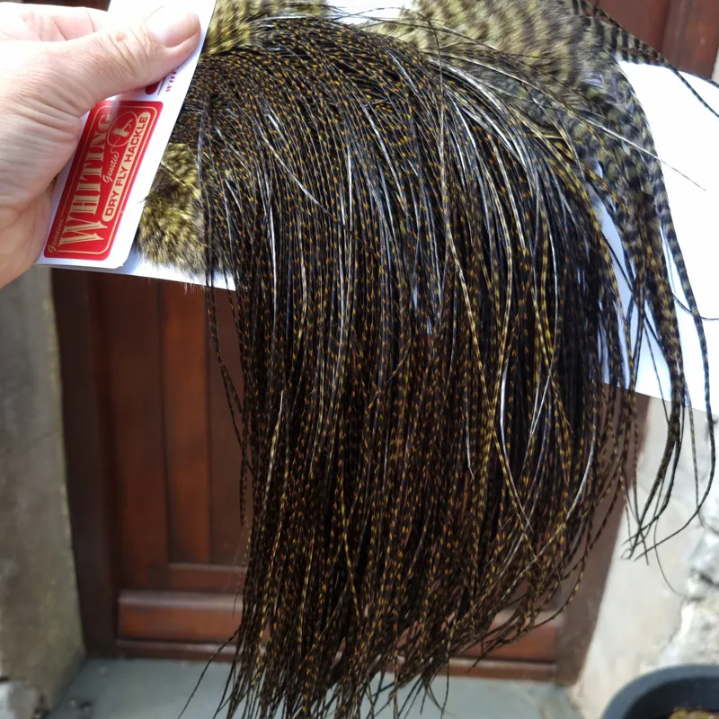 Whiting Pro-Grade Midge Rooster Saddle in Grizzly Dyed Dark Olive/ VERY DARK OLIVE GRIZZLY A Approx Tying Sizes Stuffed with 16/18/20/22/24/26 and out of sight