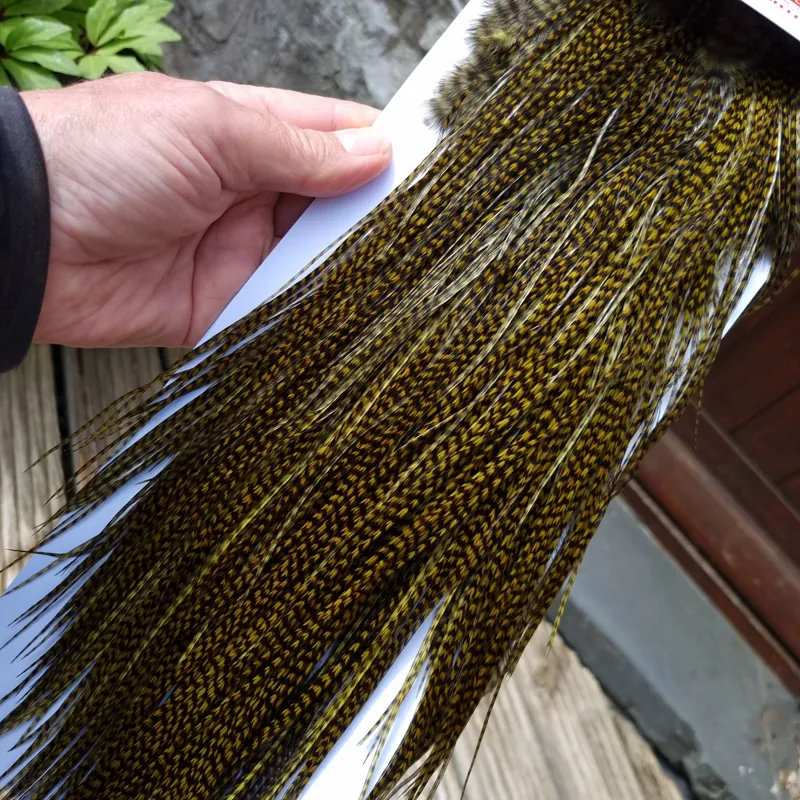 Whiting Pro-Grade Midge Rooster Saddle in Grizzly Dyed Dark Olive B Approx Tying Sizes 14 16 18 with a few going smaller-4