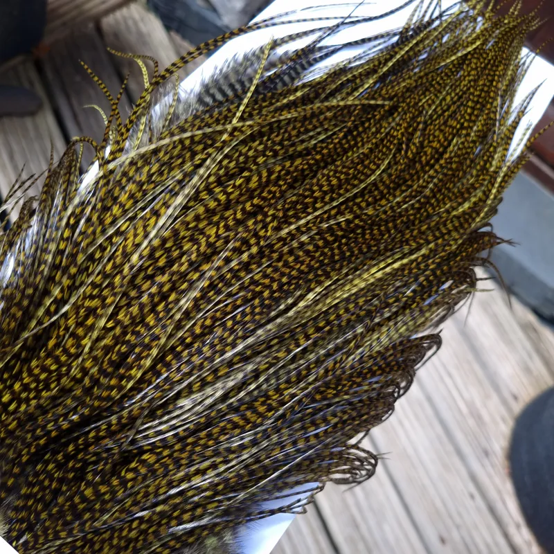 Whiting Pro-Grade Midge Rooster Saddle in Grizzly Dyed Dark Olive B Approx Tying Sizes 14 16 18 with a few going smaller-3