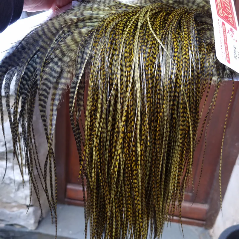 Whiting Pro-Grade Midge Rooster Saddle in Grizzly Dyed Dark Olive B Approx Tying Sizes 14 16 18 with a few going smaller