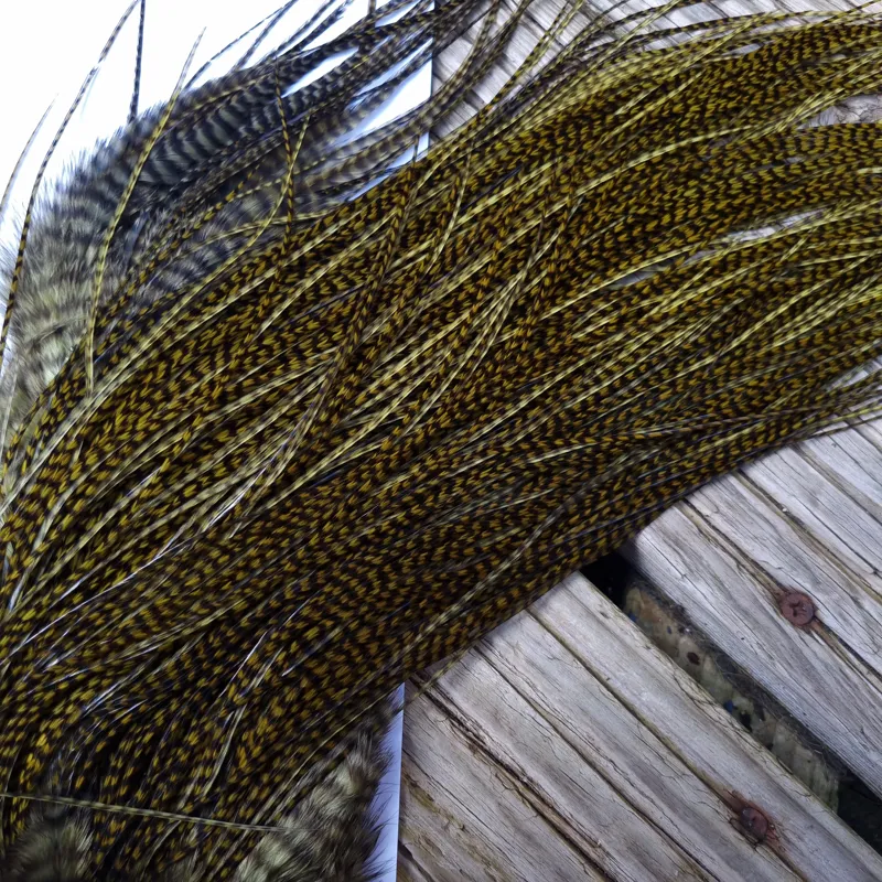 Whiting Pro-Grade Midge Rooster Saddle in Grizzly Dyed Dark Olive B Approx Tying Sizes 14 16 18 with a few going smaller-7