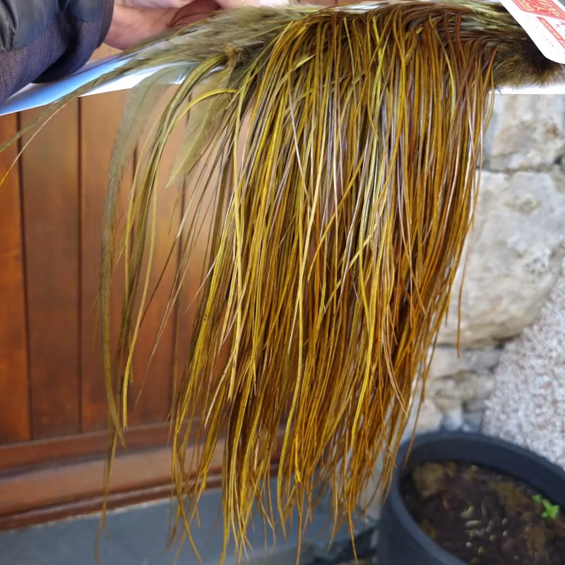 Whiting Pro-Grade Midge Rooster Saddle in White Dyed Dark Olive B Approx Tying Size 14 and stuffed with 16 18 20  and a few going smaller-2