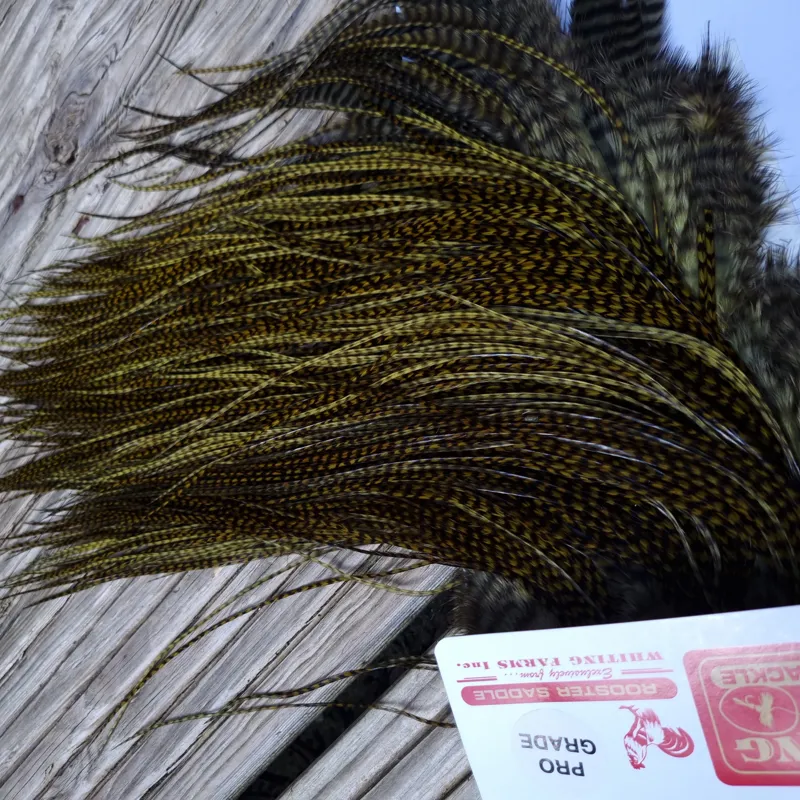 Whiting Pro-Grade Midge Rooster Saddle in Grizzly Dyed Dark Olive B Approx Tying Sizes 14 16 18 with a few going smaller-8