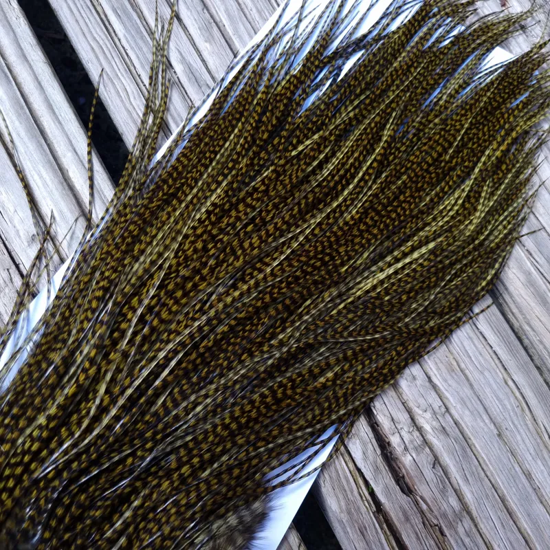 Whiting Pro-Grade Midge Rooster Saddle in Grizzly Dyed Dark Olive B Approx Tying Sizes 14 16 18 with a few going smaller-2