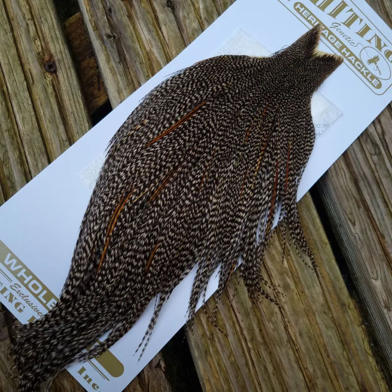 Whiting Heritage Hackles Rooster Cape in Mixed Colours E DARK GRIZZLY-1