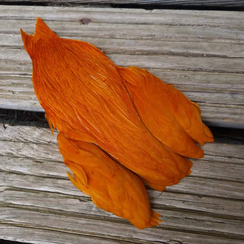 Whiting Exclusive WET Fly Hen Cape in Burnt Orange-5