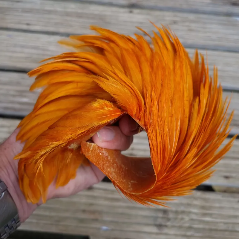 Whiting Exclusive WET Fly Hen Cape in Burnt Orange-2