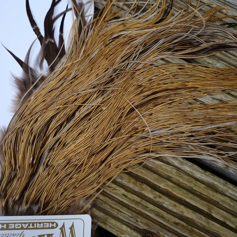 Whiting Heritage Hackles Rooster Saddle in Mixed Colours F Golden Badger Tying Approx Stuffed with 14/16/18 with a few going smaller -4