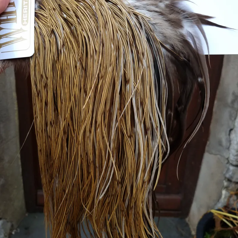 Whiting Heritage Hackles Rooster Saddle in Mixed Colours F Golden Badger Tying Approx Stuffed with 14/16/18 with a few going smaller -5