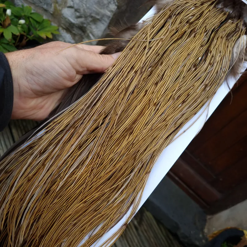 Whiting Heritage Hackles Rooster Saddle in Mixed Colours F Golden Badger Tying Approx Stuffed with 14/16/18 with a few going smaller -6