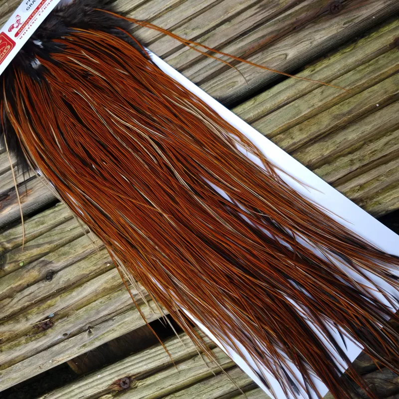 Whiting Pro-Grade Midge Rooster Saddle in Furnace A Tying Approx 14/16/18/20 AND A FEW GOING SMALLER-4