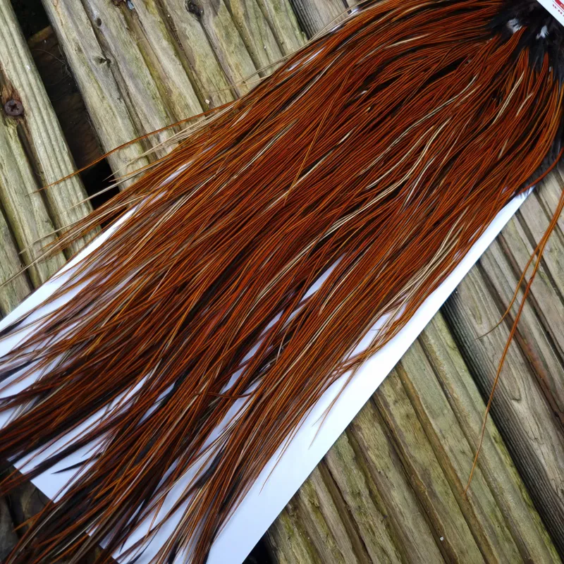 Whiting Pro-Grade Midge Rooster Saddle in Furnace A Tying Approx 14/16/18/20 AND A FEW GOING SMALLER-5