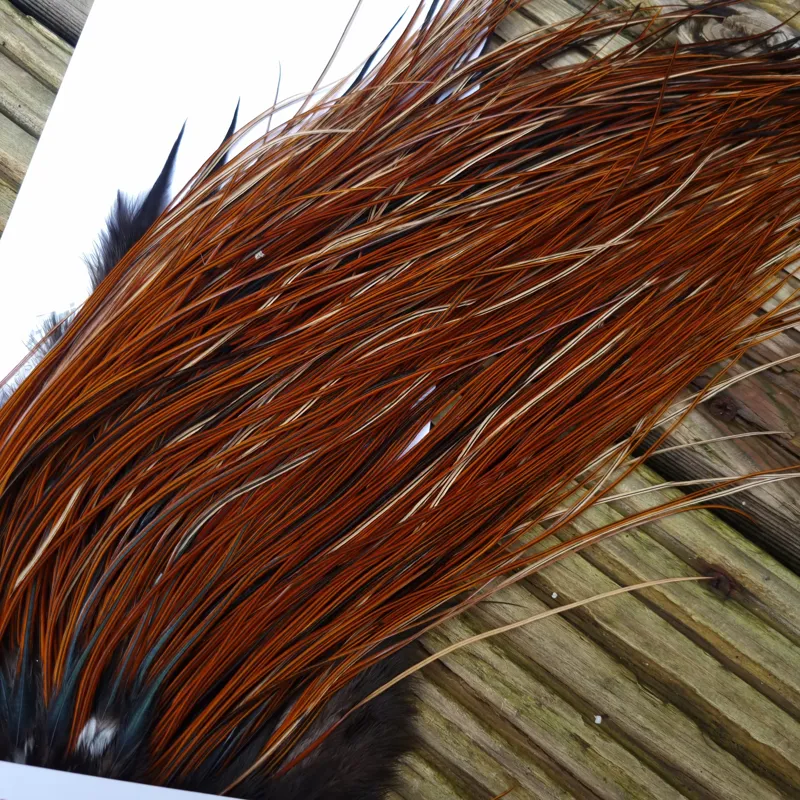 Whiting Pro-Grade Midge Rooster Saddle in Furnace A Tying Approx 14/16/18/20 AND A FEW GOING SMALLER-3