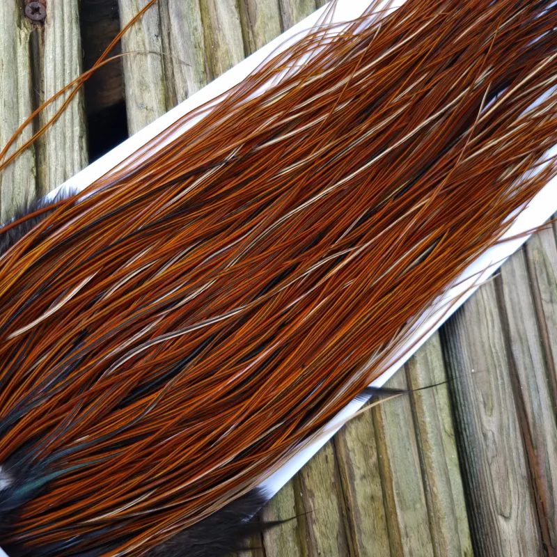 Whiting Pro-Grade Midge Rooster Saddle in Furnace A Tying Approx 14/16/18/20 AND A FEW GOING SMALLER-1