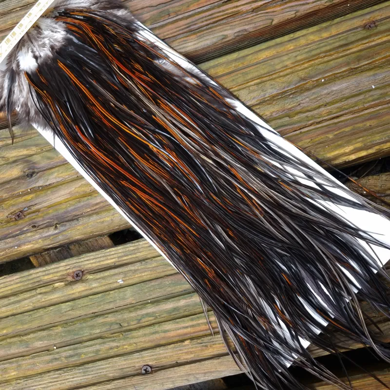 Whiting Heritage Hackles Rooster Saddle in Mixed Colours G Coch Y Bondhu/ Furnace/Dirty Furnace/Very Dark Chestnut/Natural Black  Tying Approx 10/12/14-4