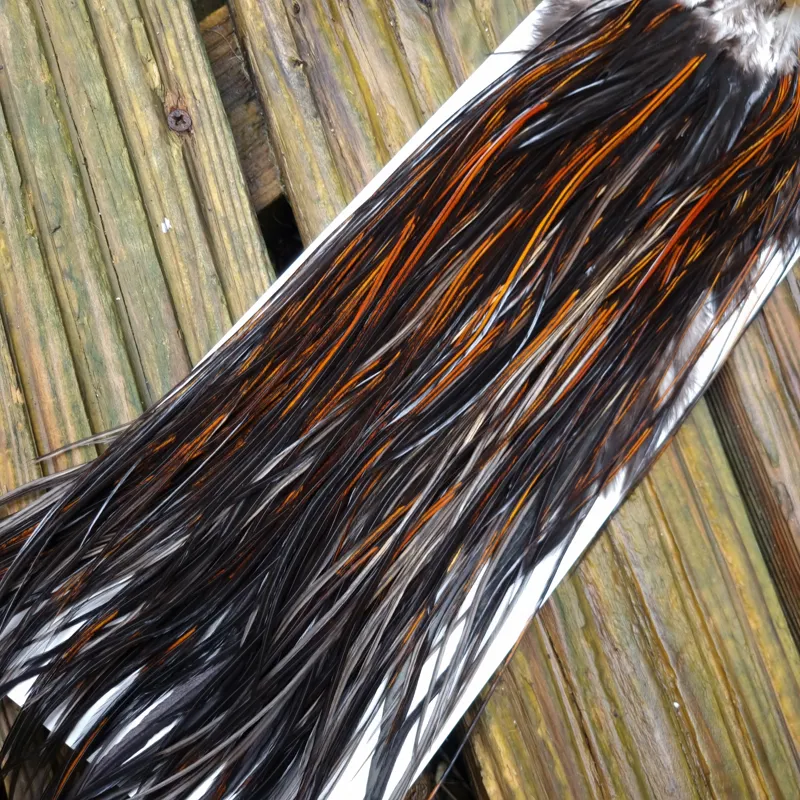 Whiting Heritage Hackles Rooster Saddle in Mixed Colours G Coch Y Bondhu/ Furnace/Dirty Furnace/Very Dark Chestnut/Natural Black  Tying Approx 10/12/14-6