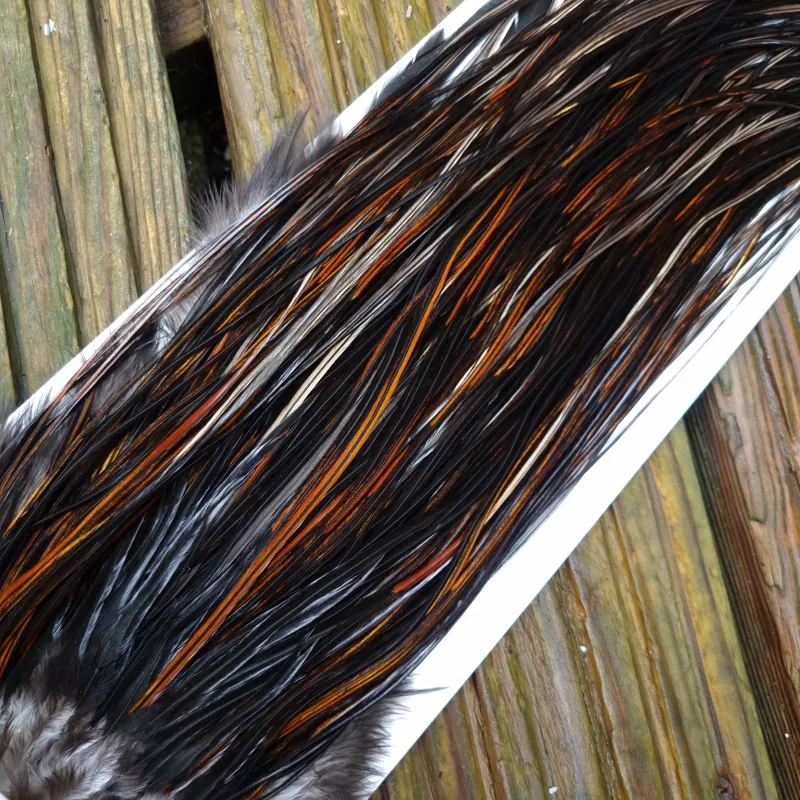 Whiting Heritage Hackles Rooster Saddle in Mixed Colours G Coch Y Bondhu/ Furnace/Dirty Furnace/Very Dark Chestnut/Natural Black  Tying Approx 10/12/14-3