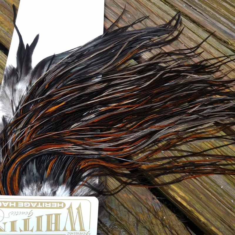 Whiting Heritage Hackles Rooster Saddle in Mixed Colours G Coch Y Bondhu/ Furnace/Dirty Furnace/Very Dark Chestnut/Natural Black  Tying Approx 10/12/14-7