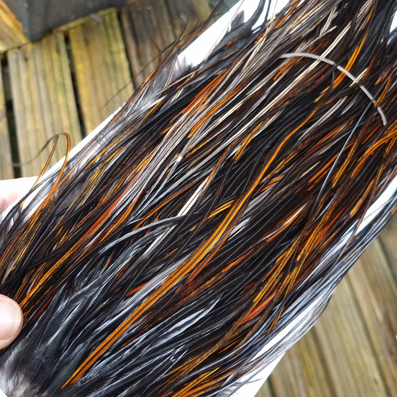 Whiting Heritage Hackles Rooster Saddle in Mixed Colours G Coch Y Bondhu/ Furnace/Dirty Furnace/Very Dark Chestnut/Natural Black  Tying Approx 10/12/14-2