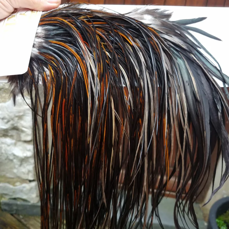 Whiting Heritage Hackles Rooster Saddle in Mixed Colours G Coch Y Bondhu/ Furnace/Dirty Furnace/Very Dark Chestnut/Natural Black  Tying Approx 10/12/14-1