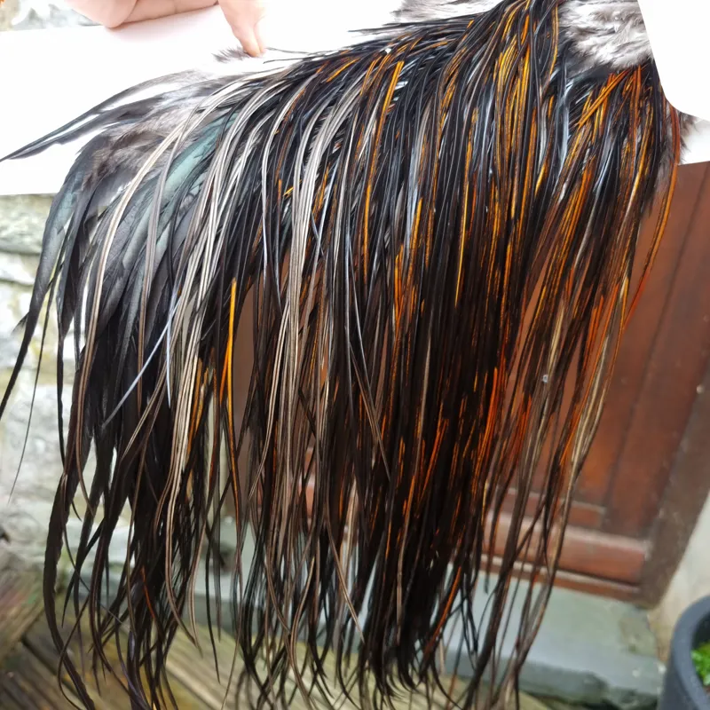 Whiting Heritage Hackles Rooster Saddle in Mixed Colours G Coch Y Bondhu/ Furnace/Dirty Furnace/Very Dark Chestnut/Natural Black  Tying Approx 10/12/14-5