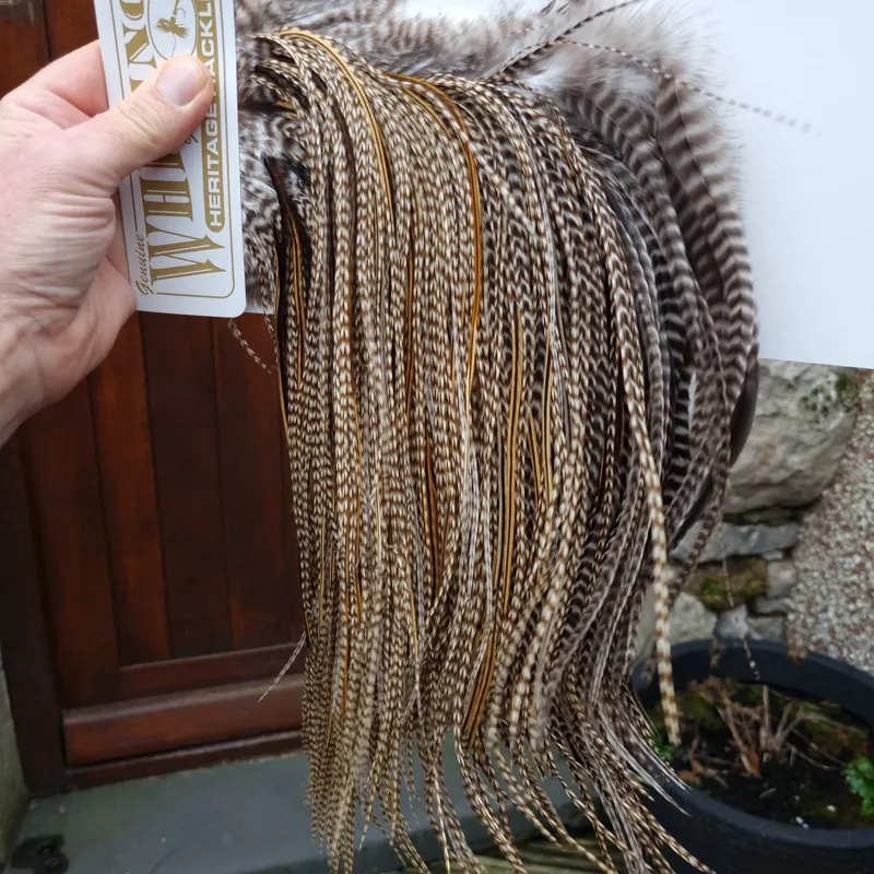 Whiting Heritage Hackles Rooster Saddle in Mixed Colours G STUNNING Dun Grizzly Splashed with Golden Badger Tying Approx 10/12/14/16   -7