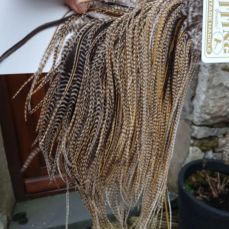 Whiting Heritage Hackles Rooster Saddle in Mixed Colours G STUNNING Dun Grizzly Splashed with Golden Badger Tying Approx 10/12/14/16   -4