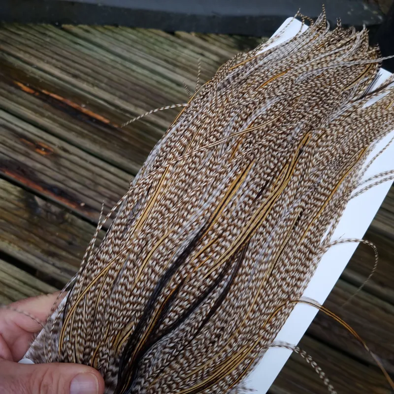 Whiting Heritage Hackles Rooster Saddle in Mixed Colours G STUNNING Dun Grizzly Splashed with Golden Badger Tying Approx 10/12/14/16   -8