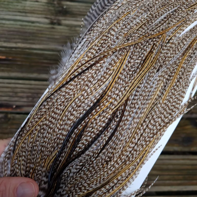 Whiting Heritage Hackles Rooster Saddle in Mixed Colours G STUNNING Dun Grizzly Splashed with Golden Badger Tying Approx 10/12/14/16   -3