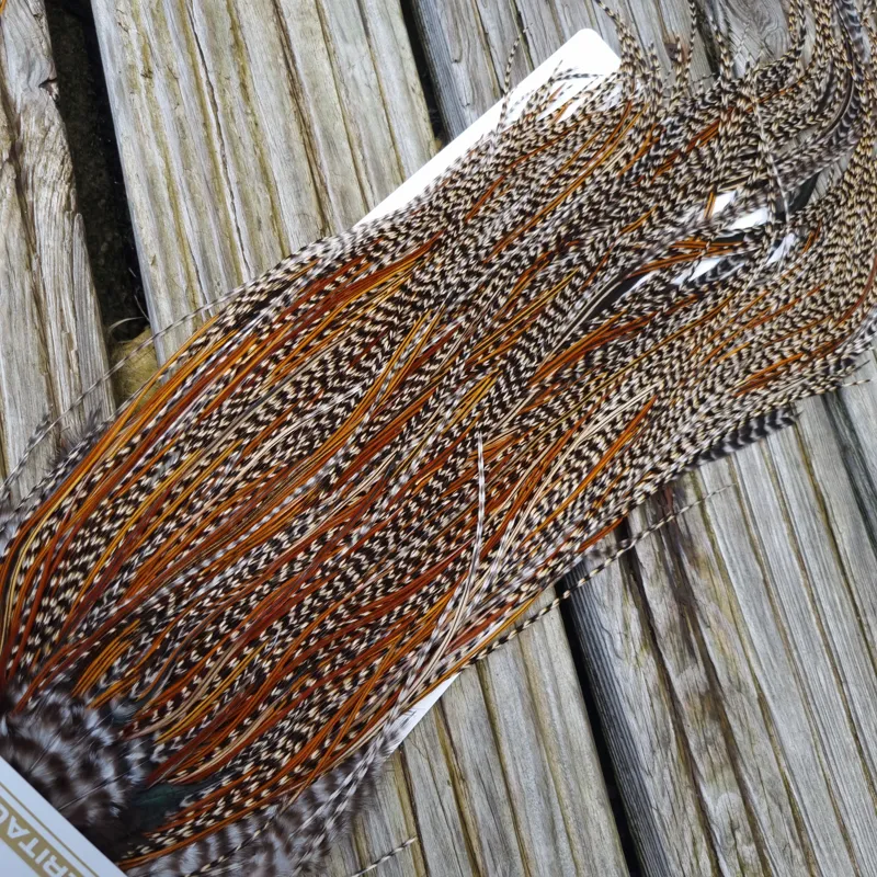 Whiting Heritage Hackles Rooster Saddle in Mixed Colours G CREE/Grizzly/Furnace/Greenwell's Tying Approx 12/14 with the odd 16-6