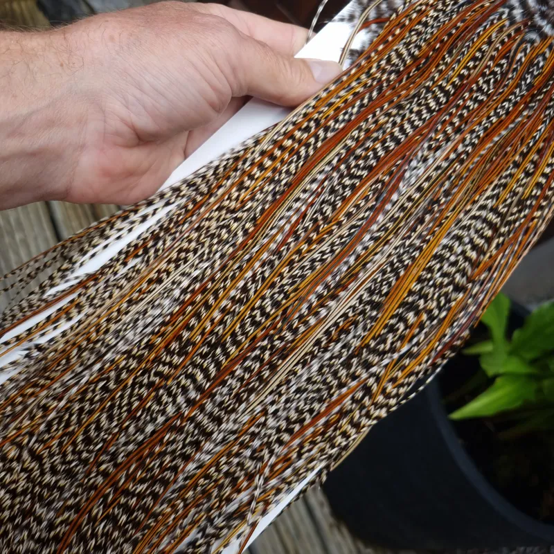 Whiting Heritage Hackles Rooster Saddle in Mixed Colours G CREE/Grizzly/Furnace/Greenwell's Tying Approx 12/14 with the odd 16-2