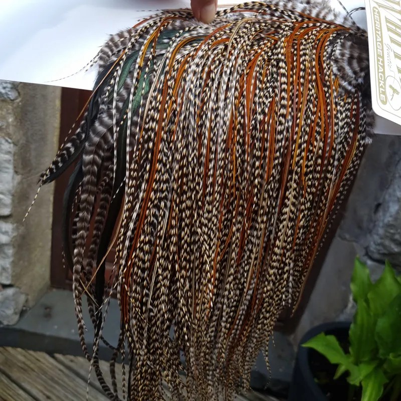 Whiting Heritage Hackles Rooster Saddle in Mixed Colours G CREE/Grizzly/Furnace/Greenwell's Tying Approx 12/14 with the odd 16-1