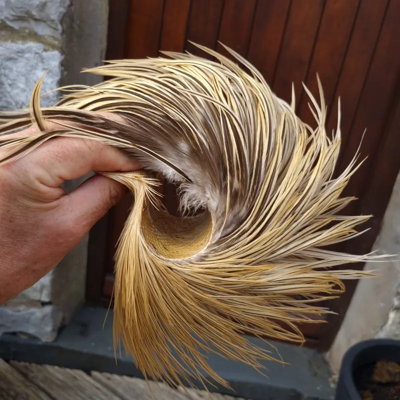 Whiting Heritage Hackles Rooster Cape in Mixed Colours D Golden Badger