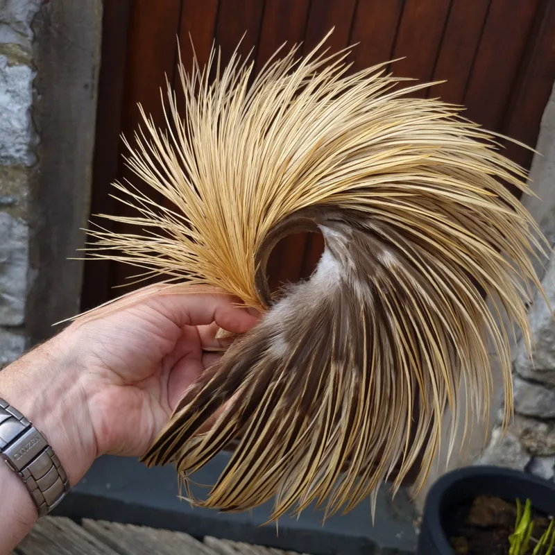 Whiting Heritage Hackles Rooster Cape in Mixed Colours D Golden Badger-3