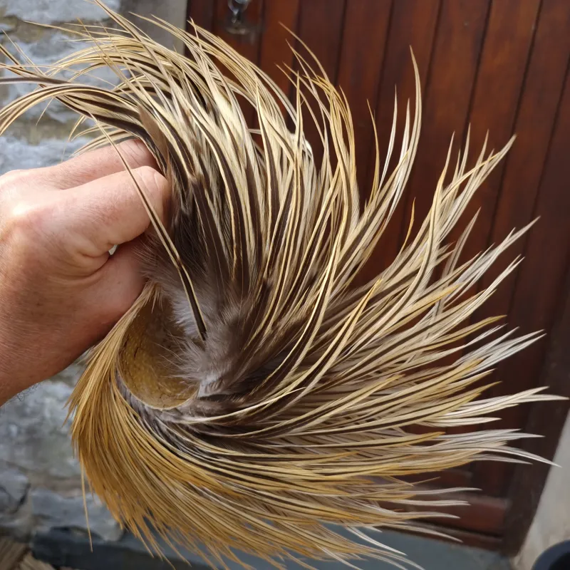 Whiting Heritage Hackles Rooster Cape in Mixed Colours D Golden Badger-8