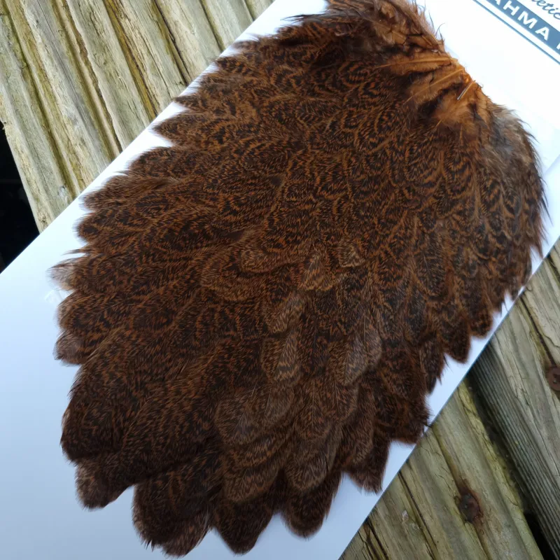 Whiting Brahma Hen Saddle in Golden Brown-3