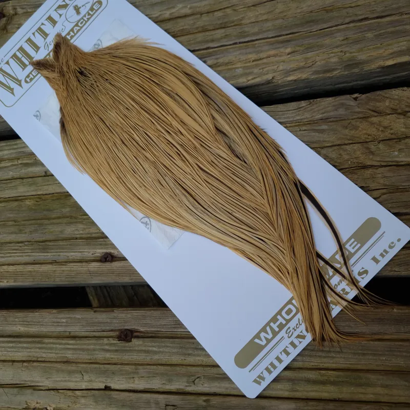 Whiting Heritage Hackles Rooster Cape in Mixed Colours C Golden Badger-3