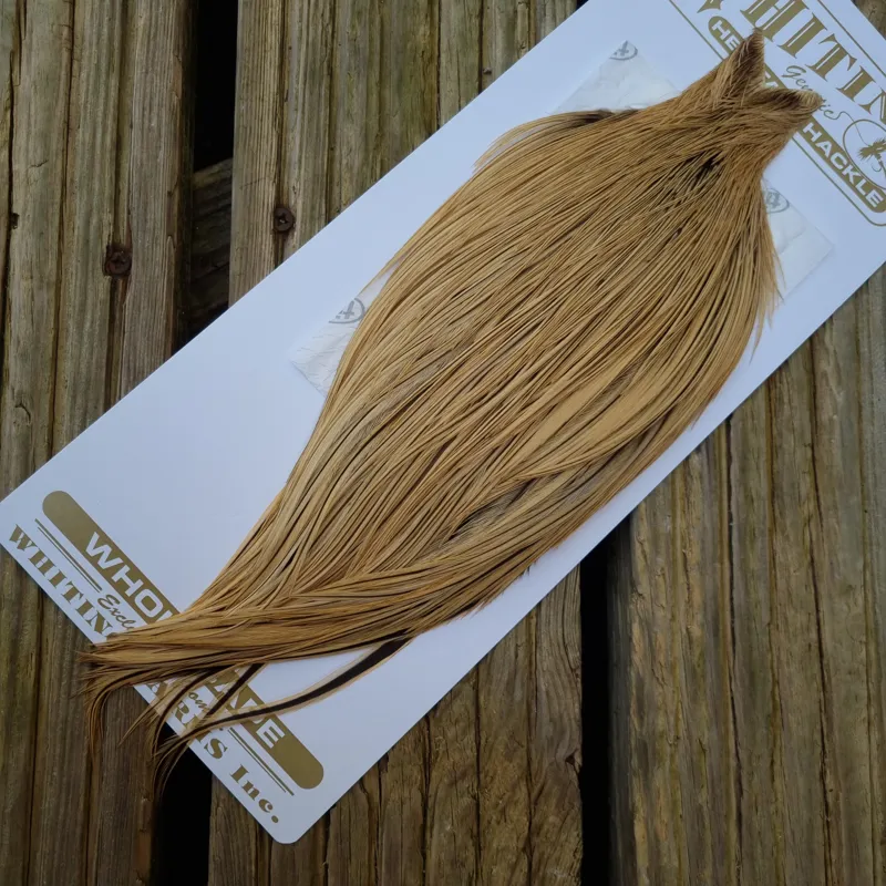 Whiting Heritage Hackles Rooster Cape in Mixed Colours C Golden Badger-4