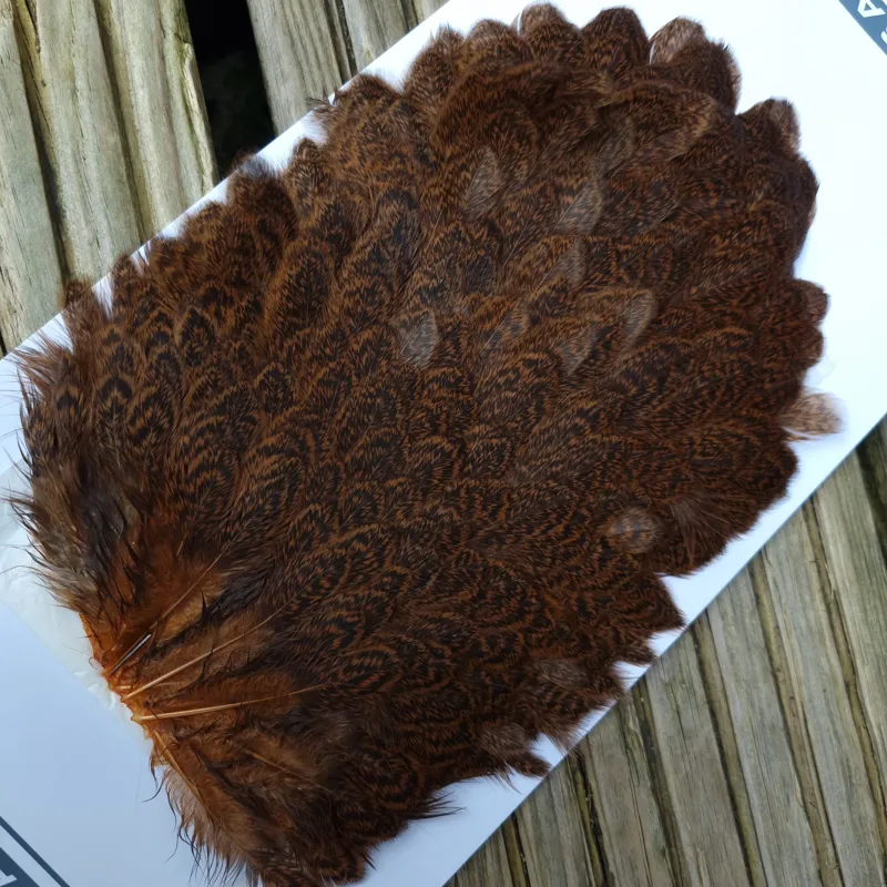 Whiting Brahma Hen Saddle in Golden Brown-8