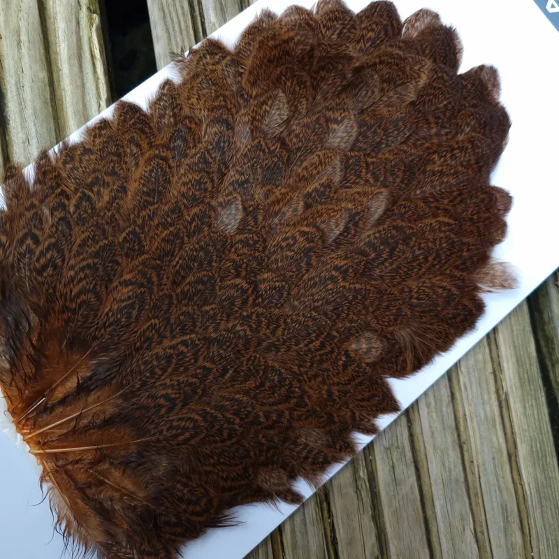 Whiting Brahma Hen Saddle in Golden Brown-4