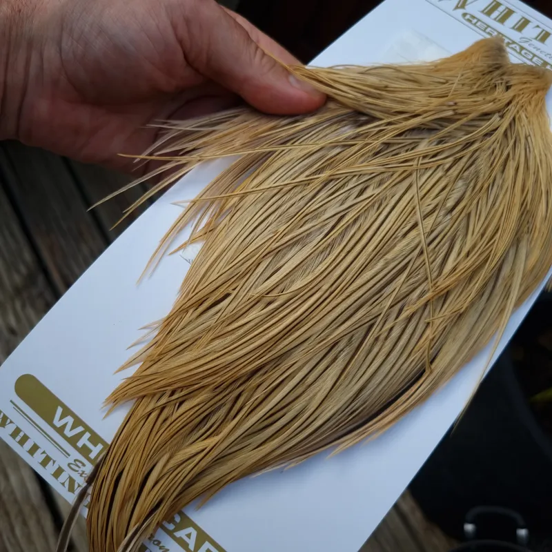 Whiting Heritage Hackles Rooster Cape in Mixed Colours D Golden Badger-12