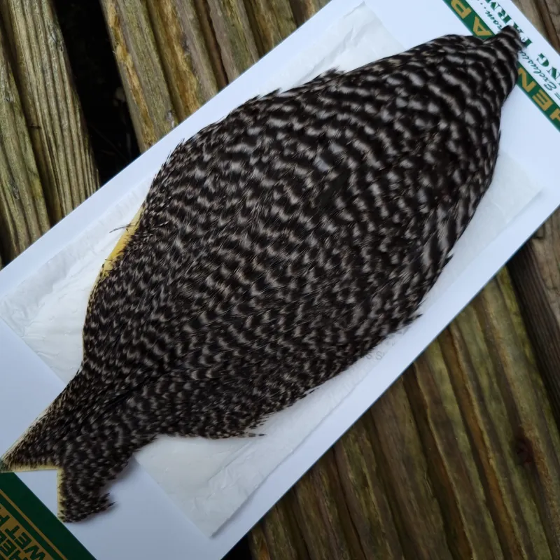 Whiting Hebert Miner Hen Cape in Grizzly B