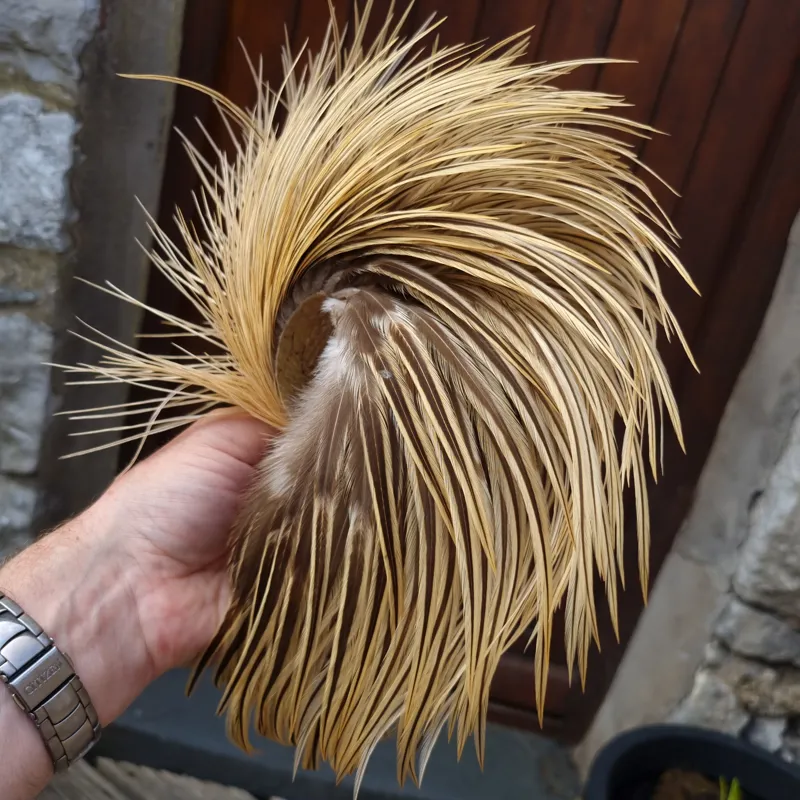 Whiting Heritage Hackles Rooster Cape in Mixed Colours D Golden Badger-10