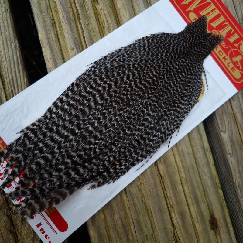 Whiting Hen Cape in Grizzly C