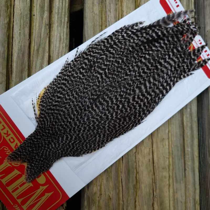 Whiting Hen Cape in Grizzly C-1