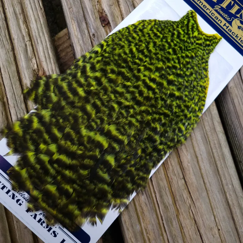 Whiting American Hen Cape in Grizzly Dyed Fl.Yellow Chartreuse