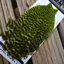 Whiting American Hen Cape in Grizzly Dyed Fl.Yellow Chartreuse