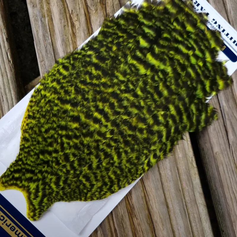 Whiting American Hen Cape in Grizzly Dyed Fl.Yellow Chartreuse-1