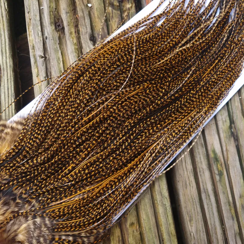 Whiting Pro-Grade Midge Rooster Saddle in Grizzly Dyed March Brown A Grizzly March Brown/ Lightly Splashed with Badger Dyed March Brown Approx Tying Sizes Few 14 and stuffed with 16/18/20/22 /24 and a few going smaller-7
