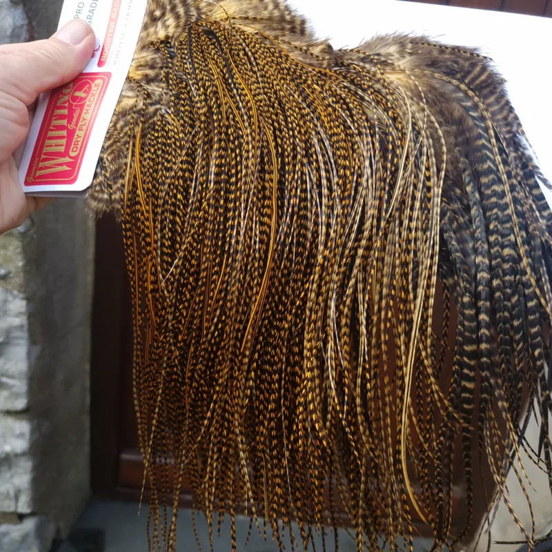 Whiting Pro-Grade Midge Rooster Saddle in Grizzly Dyed March Brown A Grizzly March Brown/ Lightly Splashed with Badger Dyed March Brown Approx Tying Sizes Few 14 and stuffed with 16/18/20/22 /24 and a few going smaller